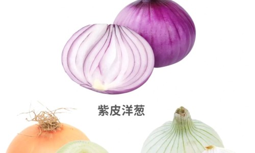 黄枸杞泡水喝的功效网 - 网站提供淫羊藿熟地黄枸杞泡水喝的功效小常识、蜂蜜和枸杞泡水喝的功效